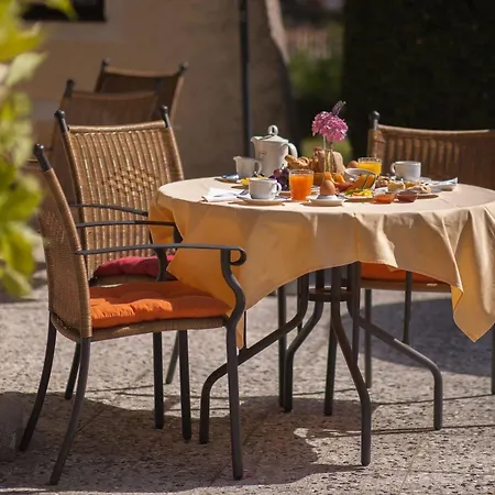 Garten - Sallerhof Otel